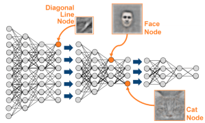 Deep Neural Network